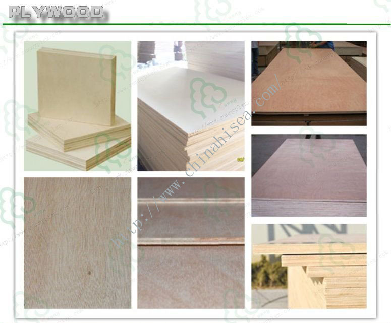 Moisture Resistant Wood Plywood Concrete Building Template