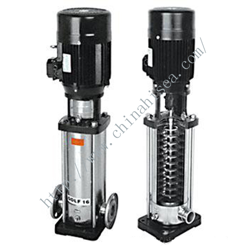 Marine Stainless Steel Pump