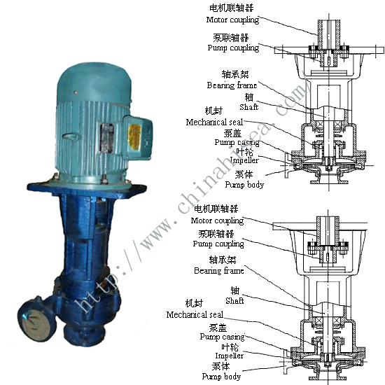 CL Marine Vertical Pump