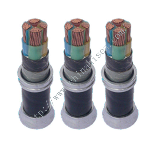 Irradiated XLPE insulated Cable