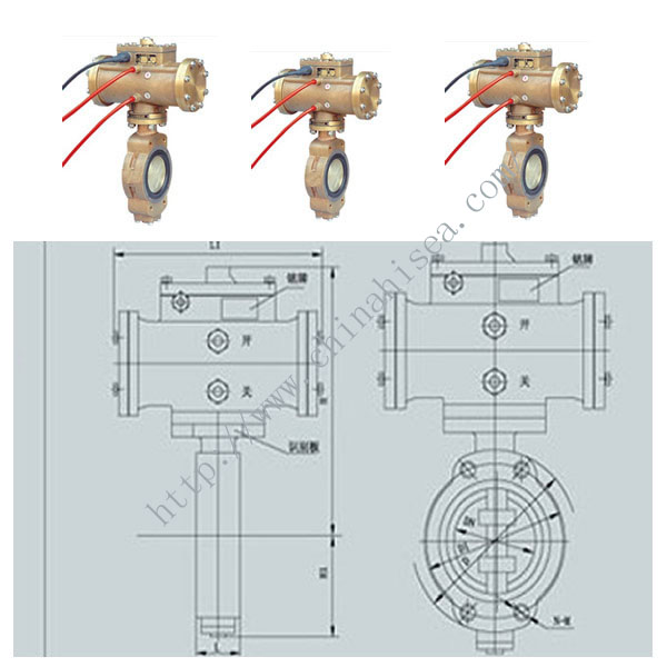 Pneumatic Marine Butterfly Valve Pictures and Drawing