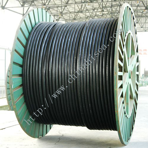 BS6883 marine&offshore finished cable.jpg