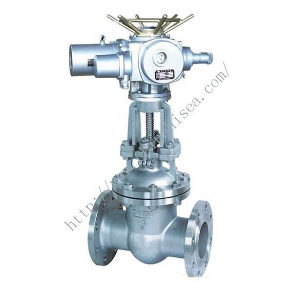 Electric Control Gate Valve Sample in Factory