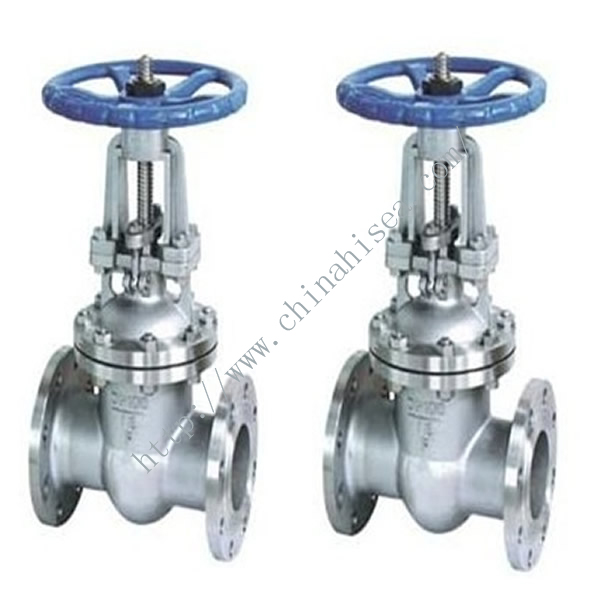 Stainless Steel Flanged Gate Valve DN100 