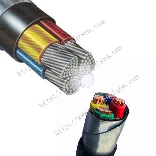 1KV BS 6883 Armored Power & Control Cable sample.jpg