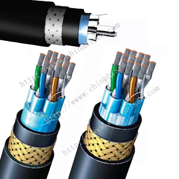 250V BS 6883 Individual Screen Instrumentation & Control Cable sample.jpg