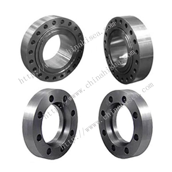 Stainless Steel Swivel Ring Flanges