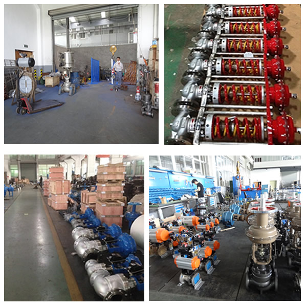 Self Operated Control Valve Factory Picture