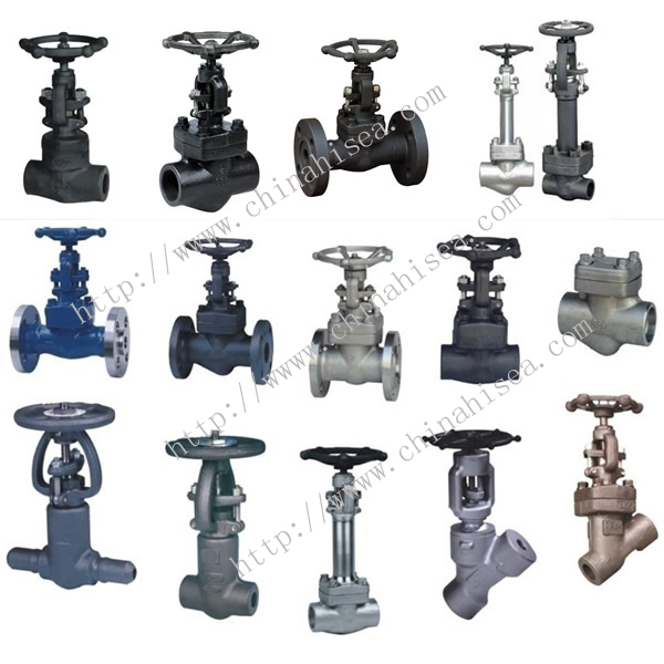 Forged Steel Valve Different Types