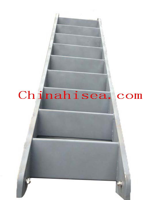 Steel Inclined Ladder