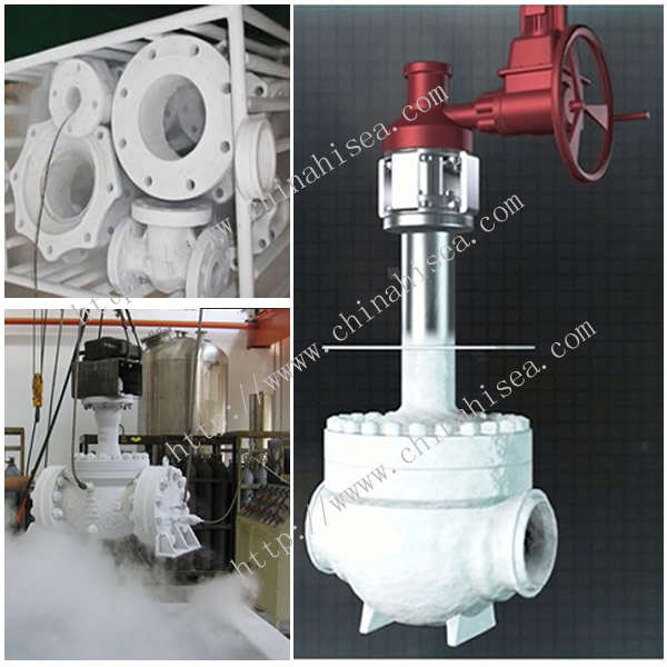 Cryogenic Ball Valve Test and Sample In Warehouse