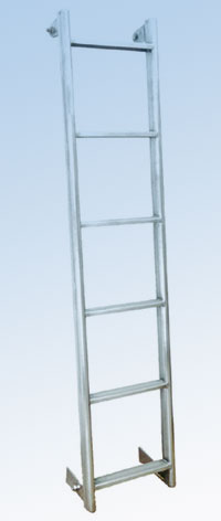 Stainless Steel Vertical Ladder
